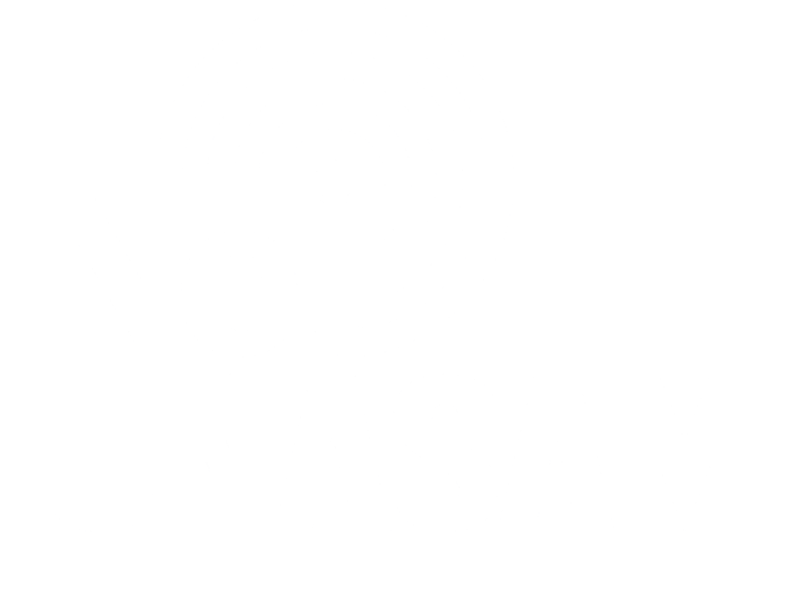 Logo net UNASAM